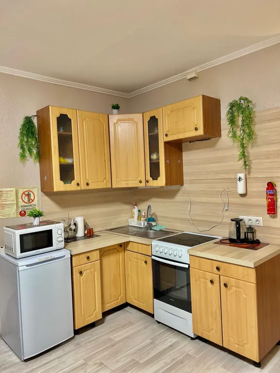 Уютная студия в Кучино