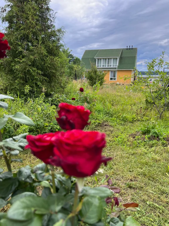 Номер с видом на озеро