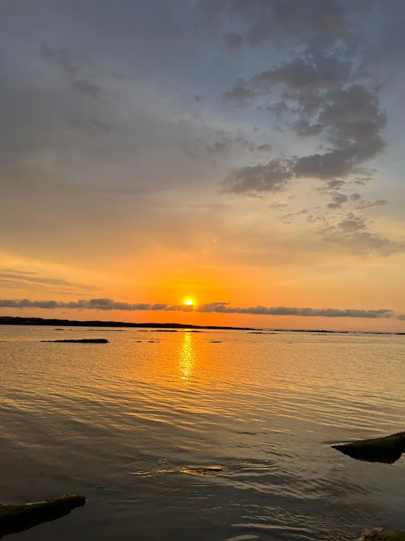 Квартира на берегу моря