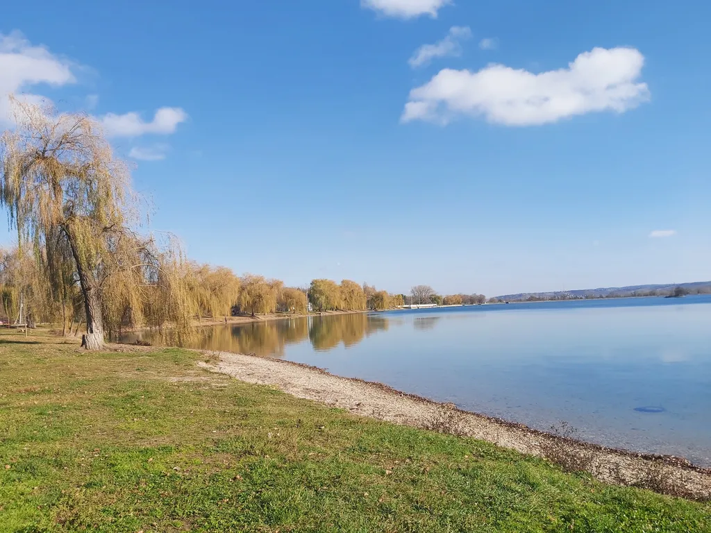 Волшебный дом