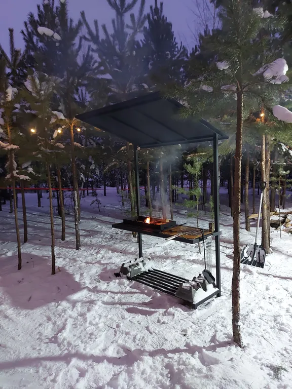 Загородный дом в лесу