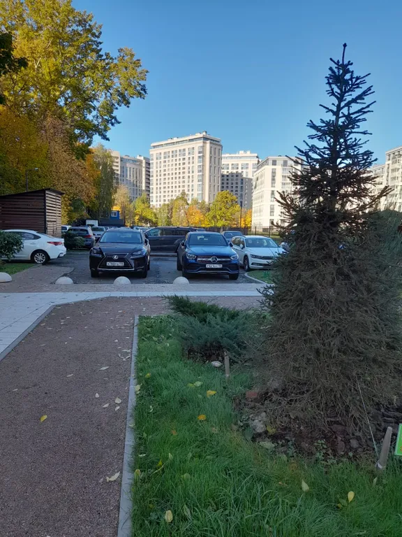 Уютно как дома