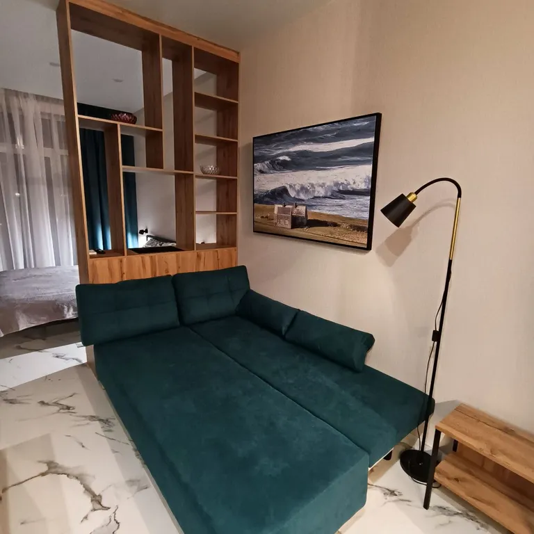 Уютная студия с видом на горы