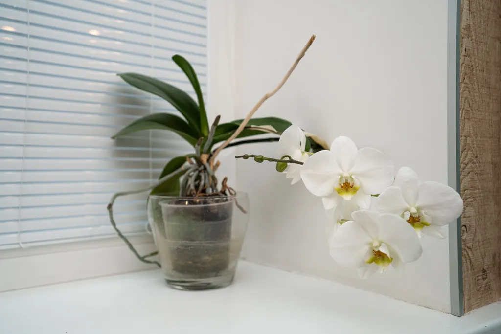 Квартира Уютная квартира в центре города — Ломоносов