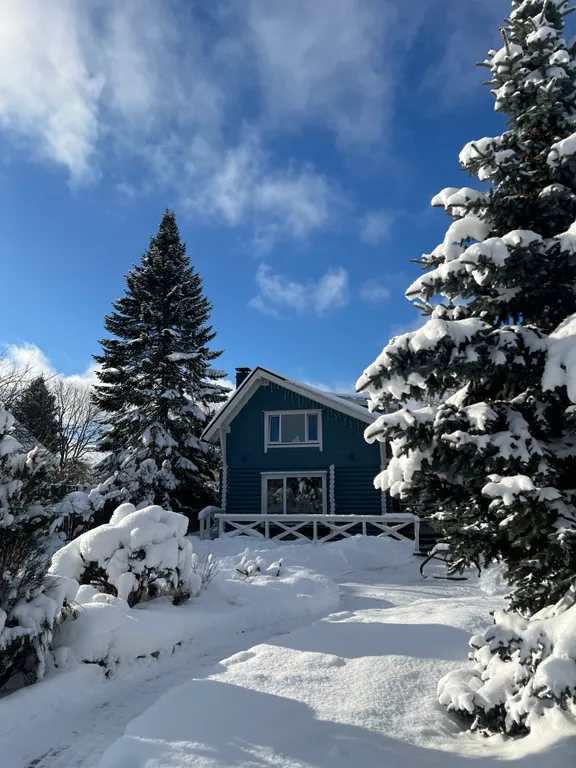 Коттедж Уютный коттедж рядом с Игорой — Снегиревка