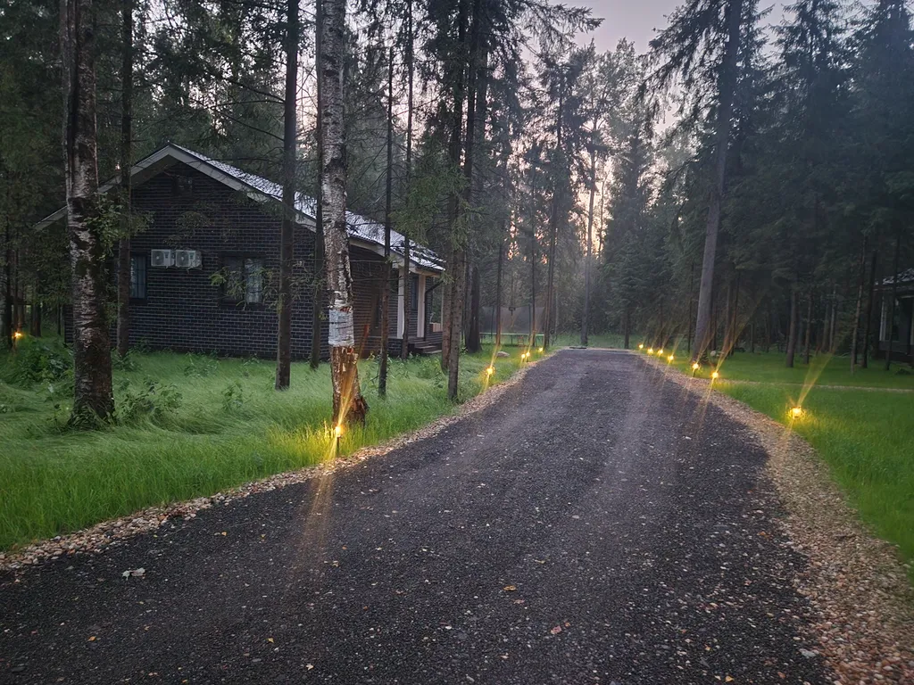 Коттедж в Forest house с сауной в лесу