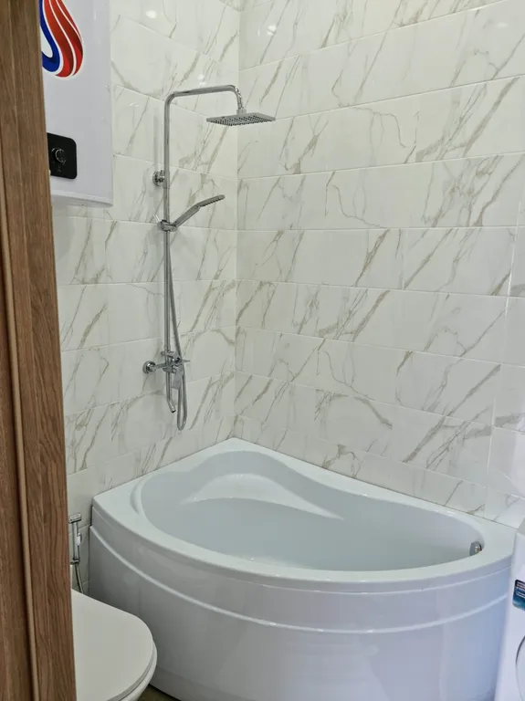 Светлая шале евро-трёшка