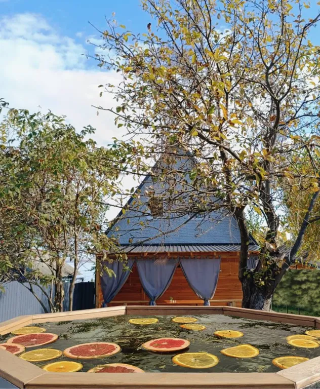 Дом с фурако на берегу Волги