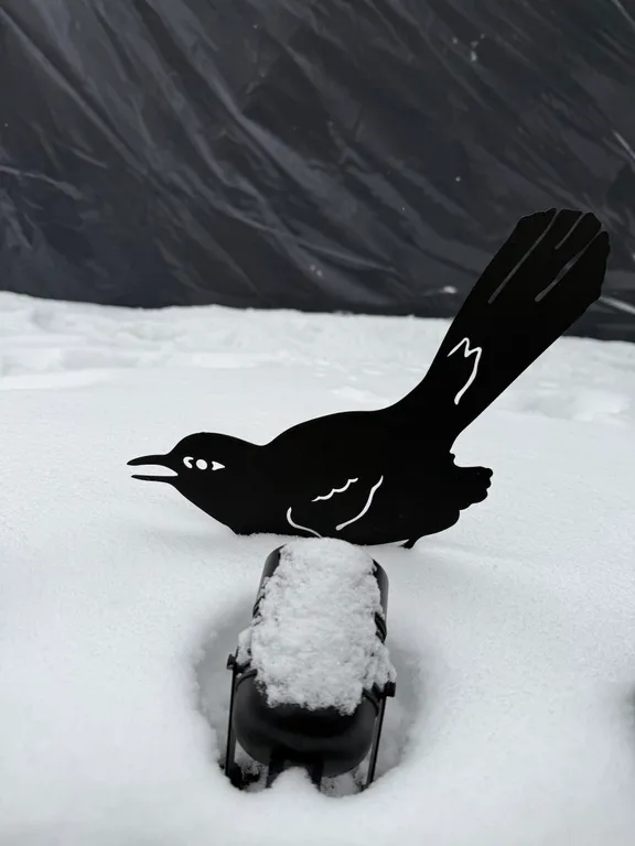 Новая сфера для глэмпинга Бёрд&Self vibe с дизайнерским интерьером