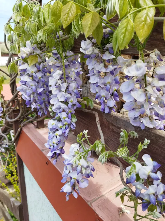 Уютная мансарда 35 м² в частном доме в 15 минутах ходьбы до моря