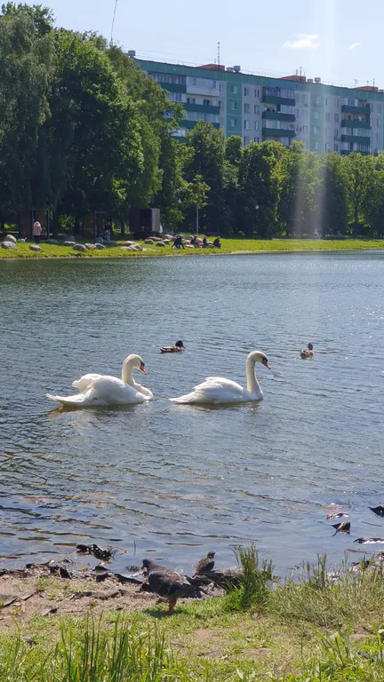 Квартира Квартира в новом ЖК4 рядом с Вересаева — Москва