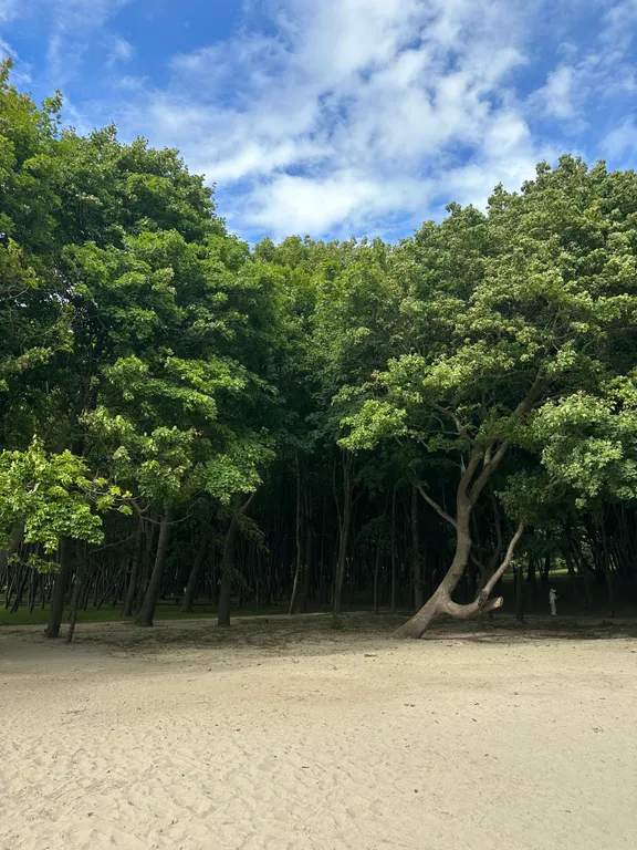Квартира с панорамным видом на море