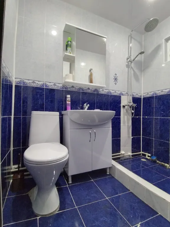 Удобная квартирка в историческом месте города