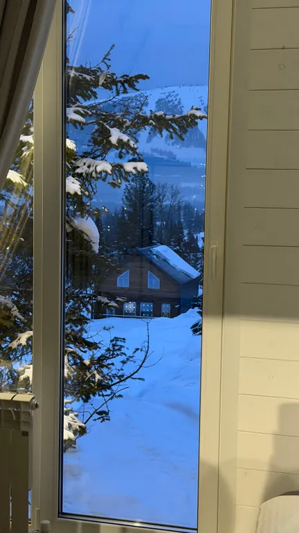 Новый дом #2
Woodland_gesh