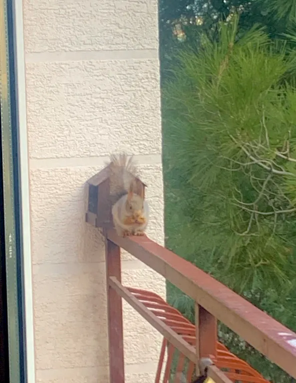 Квартира Квартира в центре, с прекрасным видом и большим балконом — Геленджик