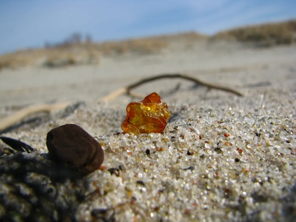 Квартира Двухкомнатная квартира в самом сердце Калининграда — Калининград