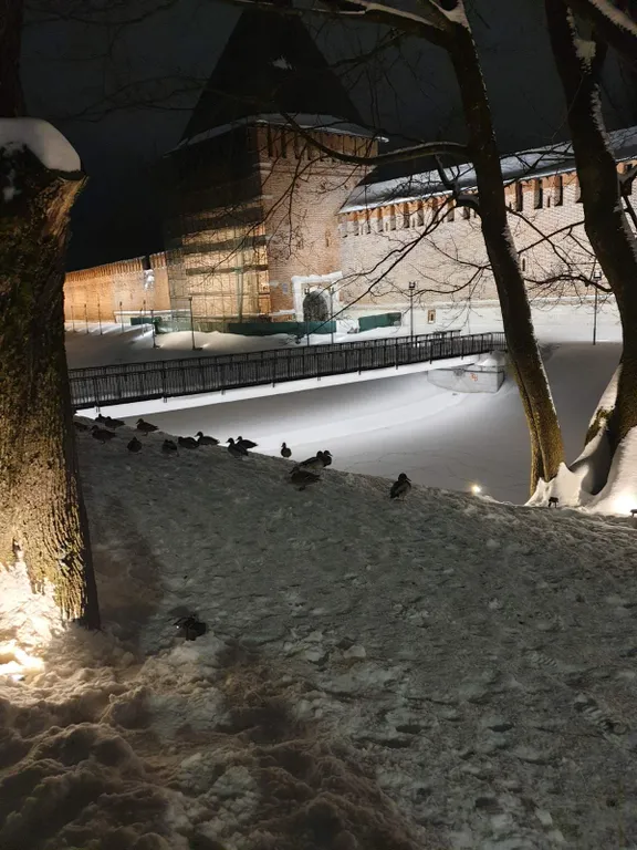 Квартира в историческом центре