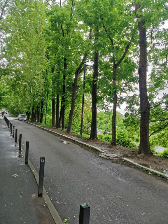 Квартира с видом на море