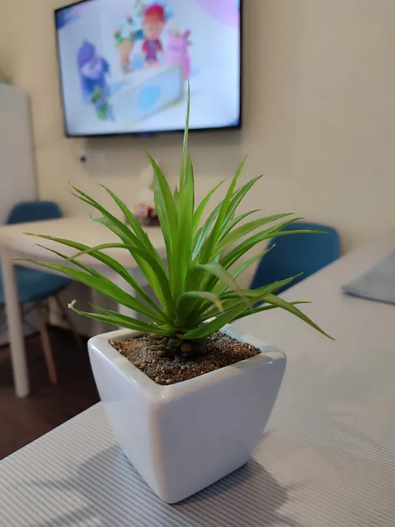 Квартира 1-комнатная Квартира — Тюмень