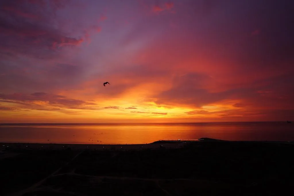 Апартамент с видом на море