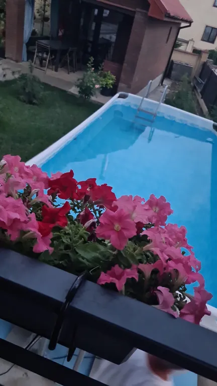 Коттедж Дом рядом с чистым морем с уникальным можжевеловым лесом — Федотовка