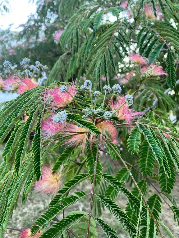 Квартира Квартира Супер видовая студия Гармония, Учкуевка — Севастополь