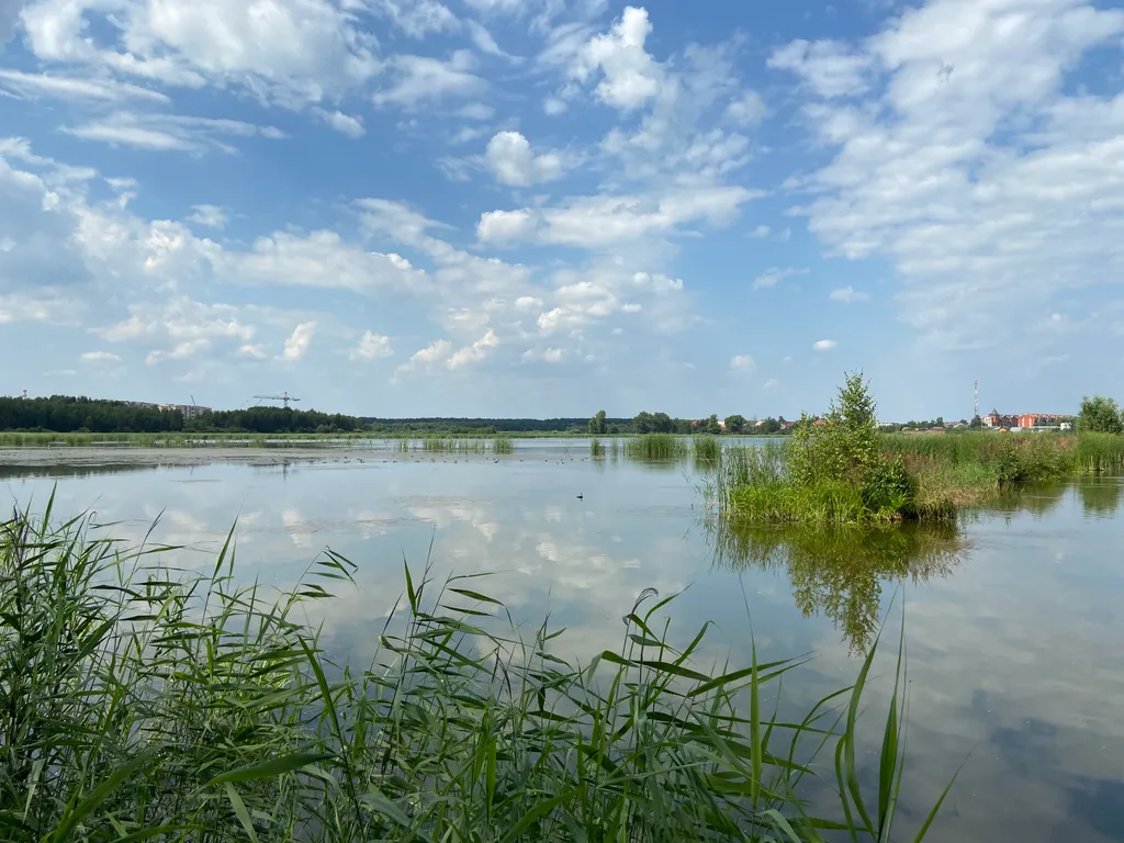 Чистая квартира в ЖК Новое Бисерово-2