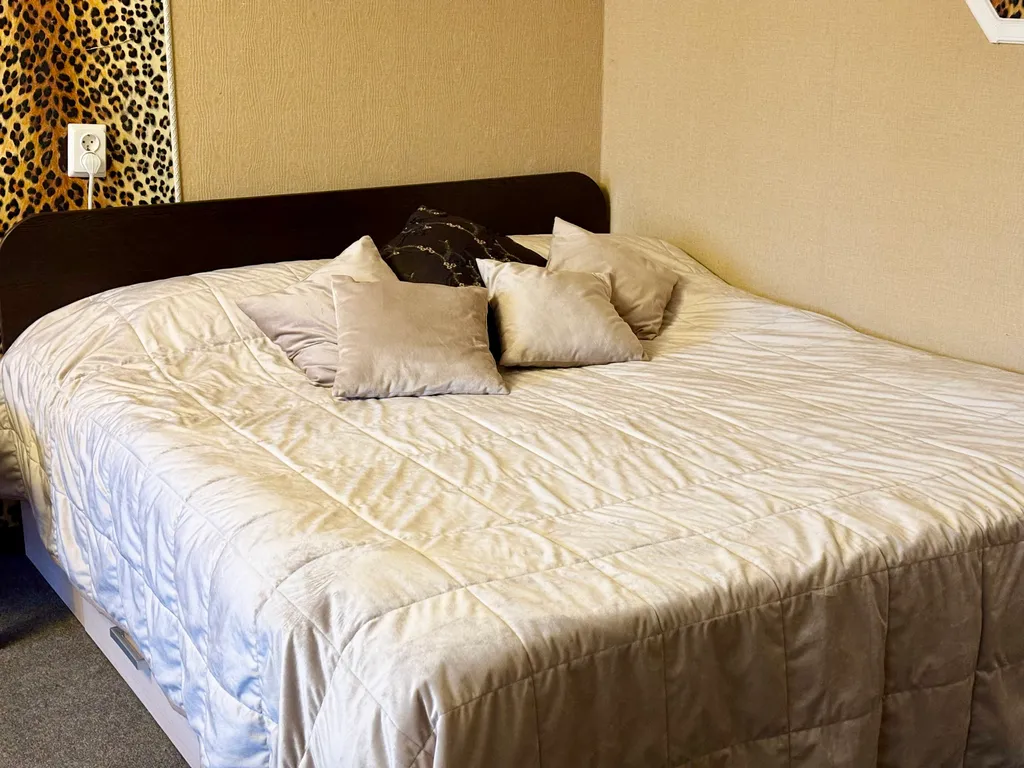 Апартаменты Драная кошка