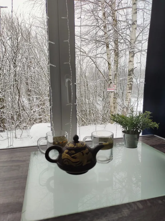 Чудо-дача, дом Капитан на берегу пруда