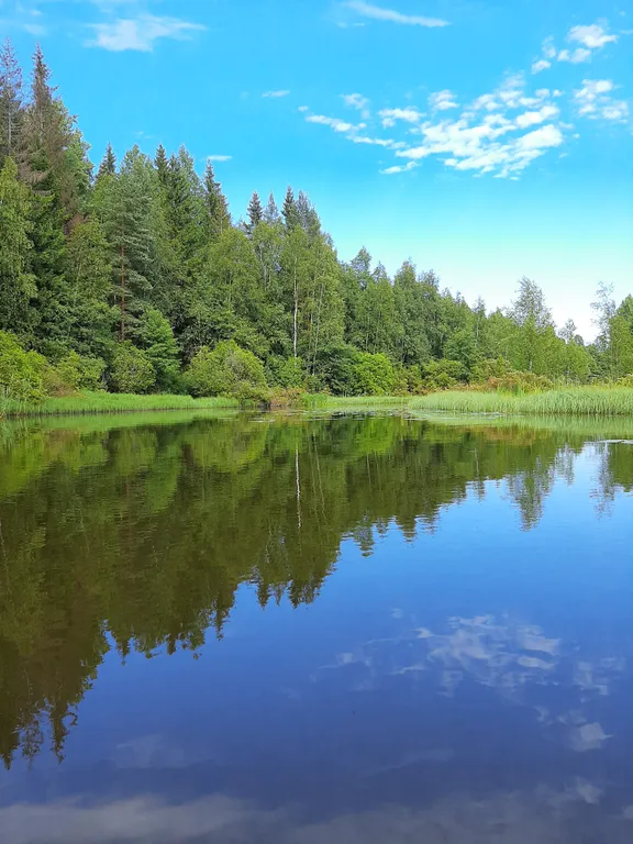 Дом на склоне холма у реки