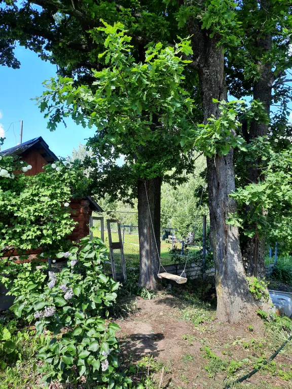 Уютный двухэтажный домик в 25 километрах от Великого Новгорода