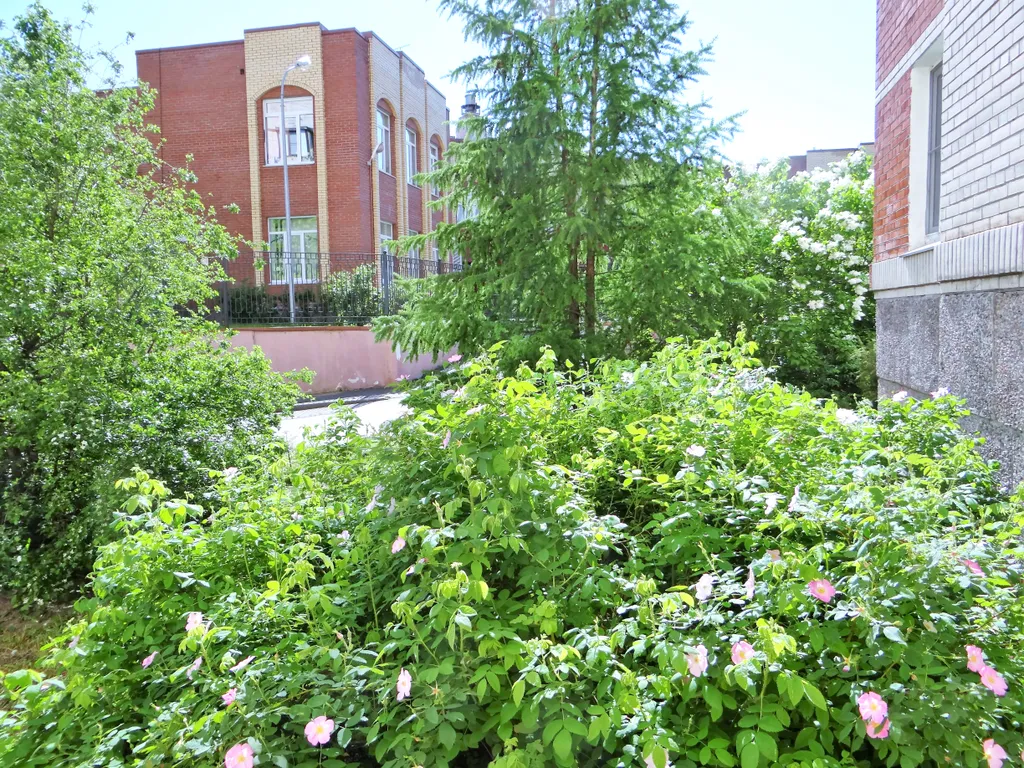 Квартира Большая 3-комнатная квартира в Царском Селе - зона бесплатной парковки — Пушкин