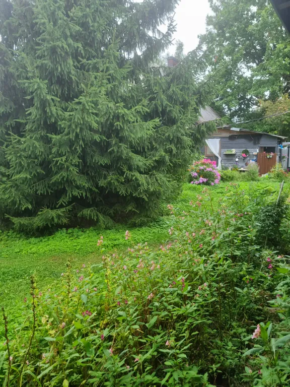 Коттедж 3-комнатный Дом — Приморск