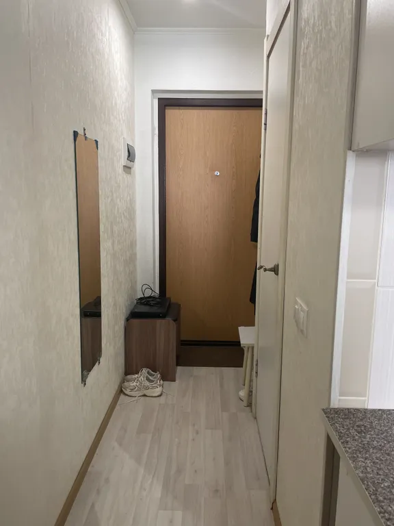 Студия в Лопатино