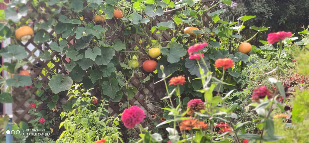 Небольшая дружелюбная студия с патио