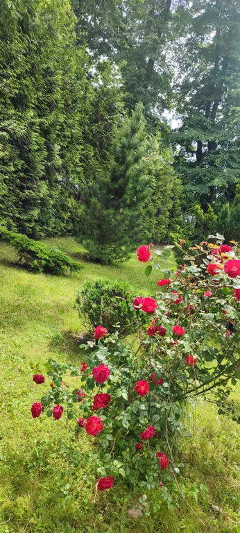 Весь первый уютный этаж с видом на природу