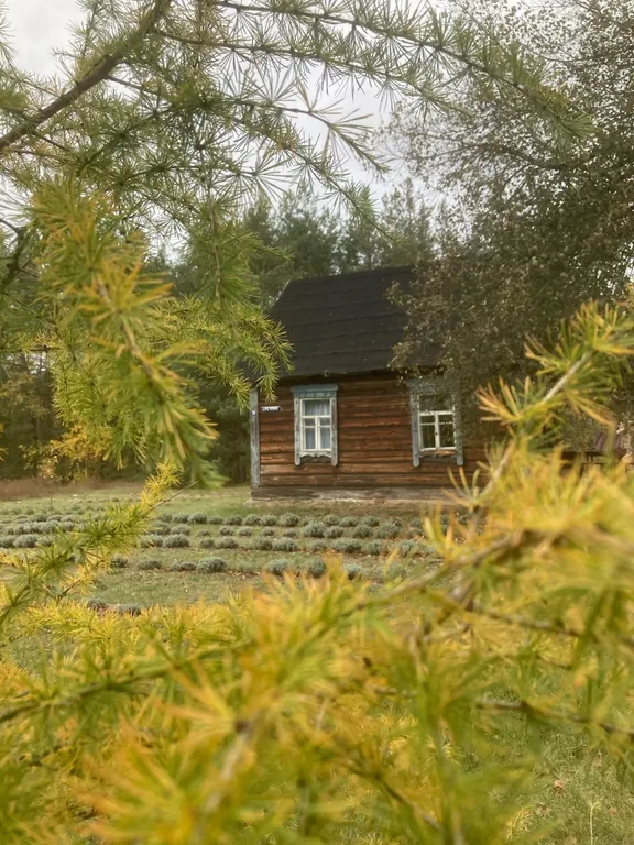 Уютный лесной домик со всеми удобствами