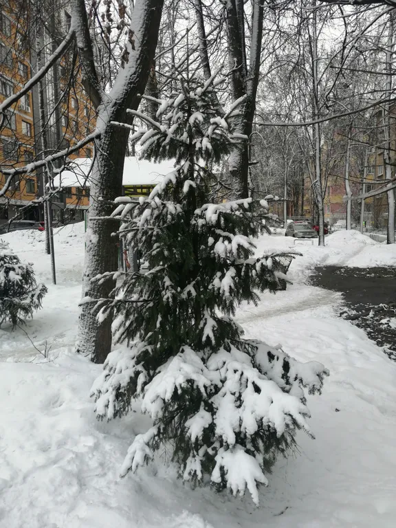 Квартира Уютная квартира в центре города — Ярославль