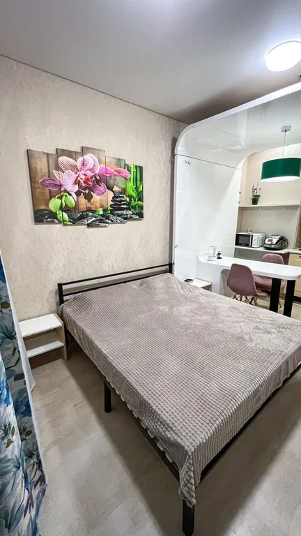 Квартира Квартира Интересная уютная студия вблизи Парка Галицкого в ЖК Панорама. — Краснодар