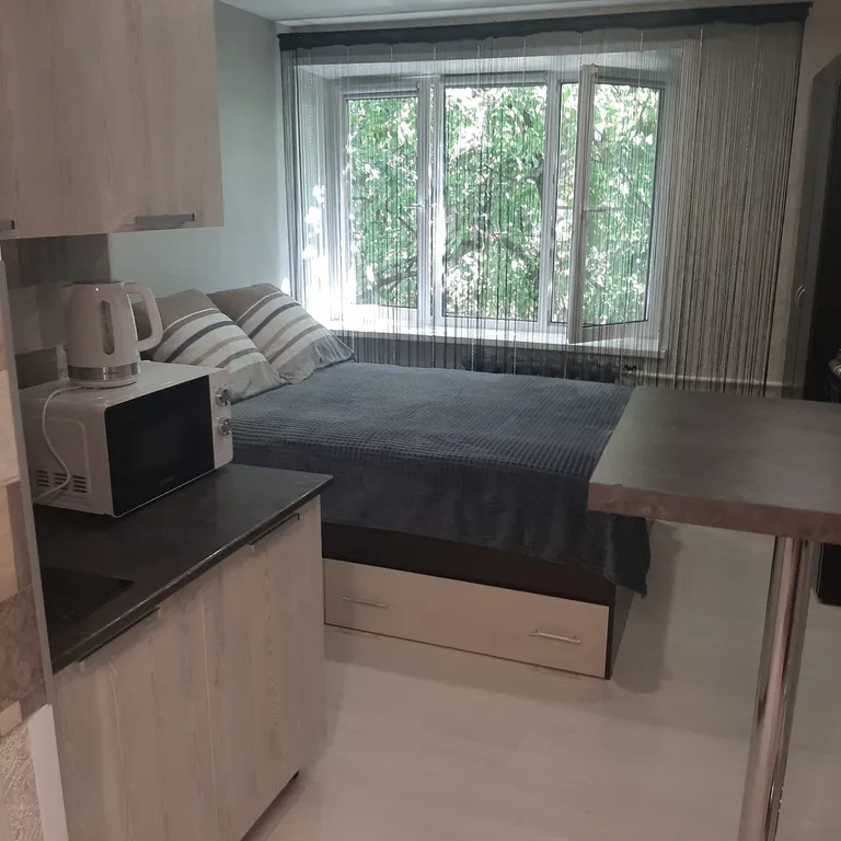 Уютная студия в центре города