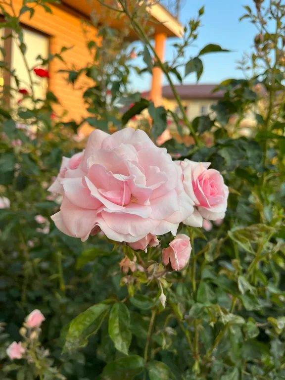 Тихий райский уголок