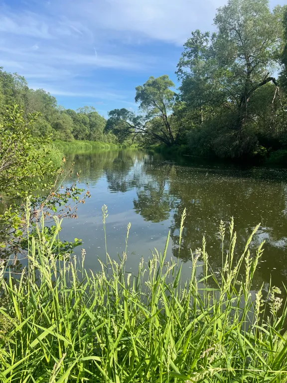 Коттедж Шишкин дом — Семеновское