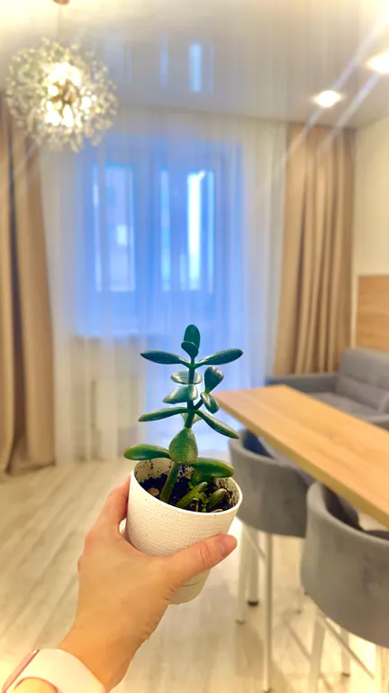 Квартира рядом с ТЦ Кристалл