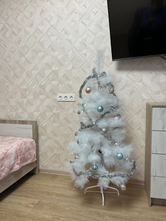 Однокомнатная с кондиционером на Таможне