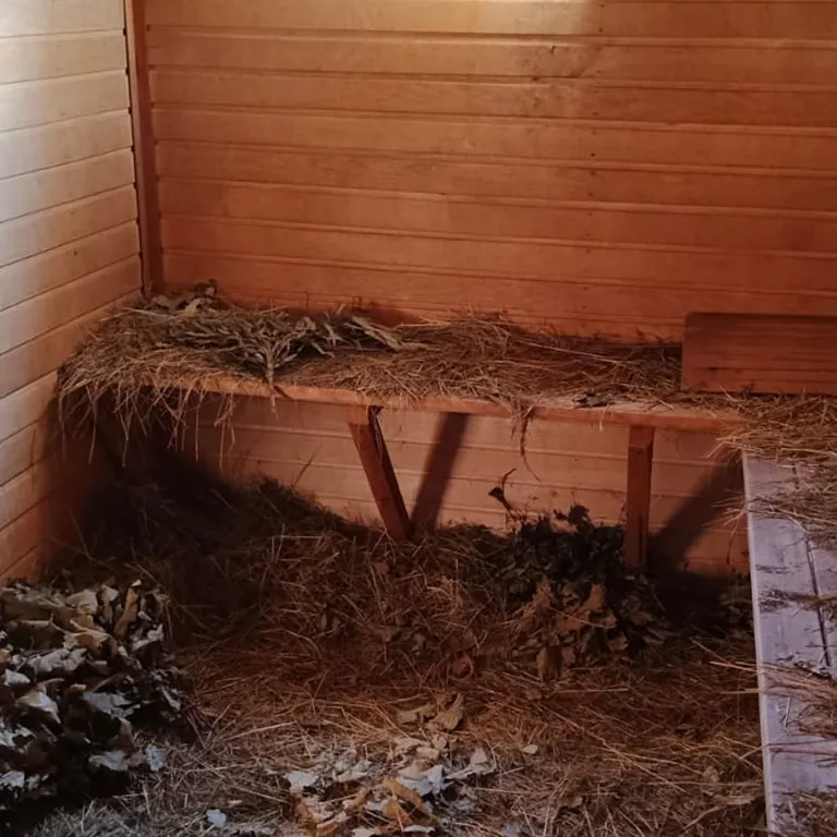 Дом художника