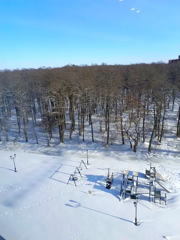 Квартира Уютная квартира в Зеленоградске с видом на парк "Куршская коса" — Зеленоградск