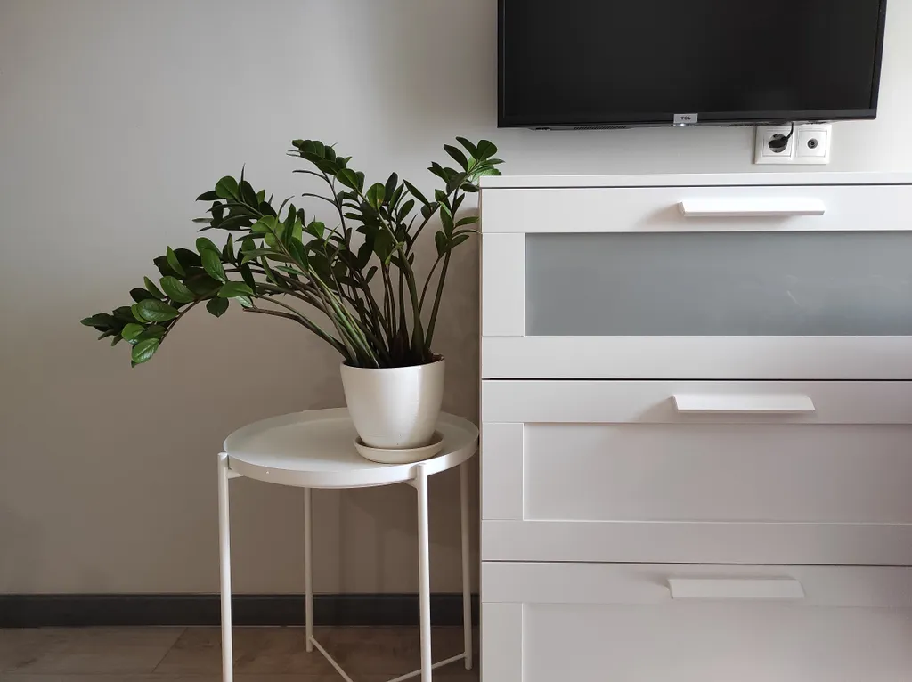 Лавандовый Раф, в самом центре