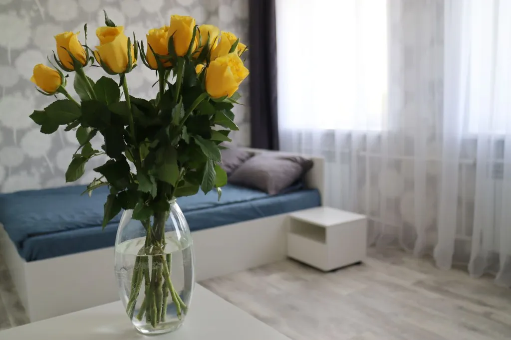 Уютная студия