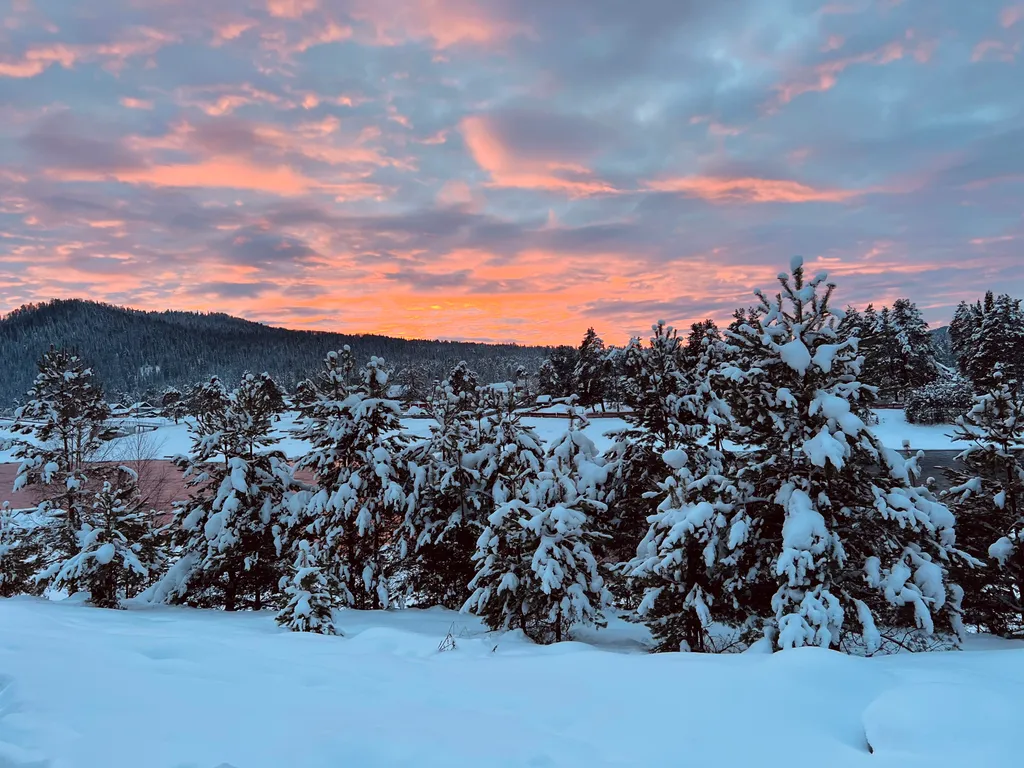 Гостевой дом У Беспаловых с видом на реку Бия