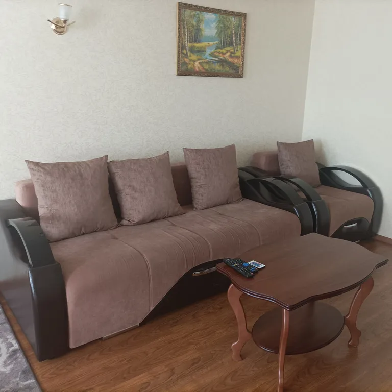 Большая и просторная 1-комнатная квартира